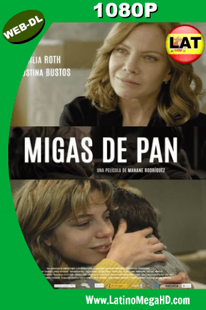 Migas de pan (2016) Latino HD WEB-DL 1080P ()